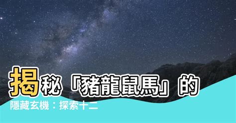 豬龍鼠馬是什麼意思|什麼是三合，什麼是六合